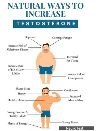 neurotest-testosterone